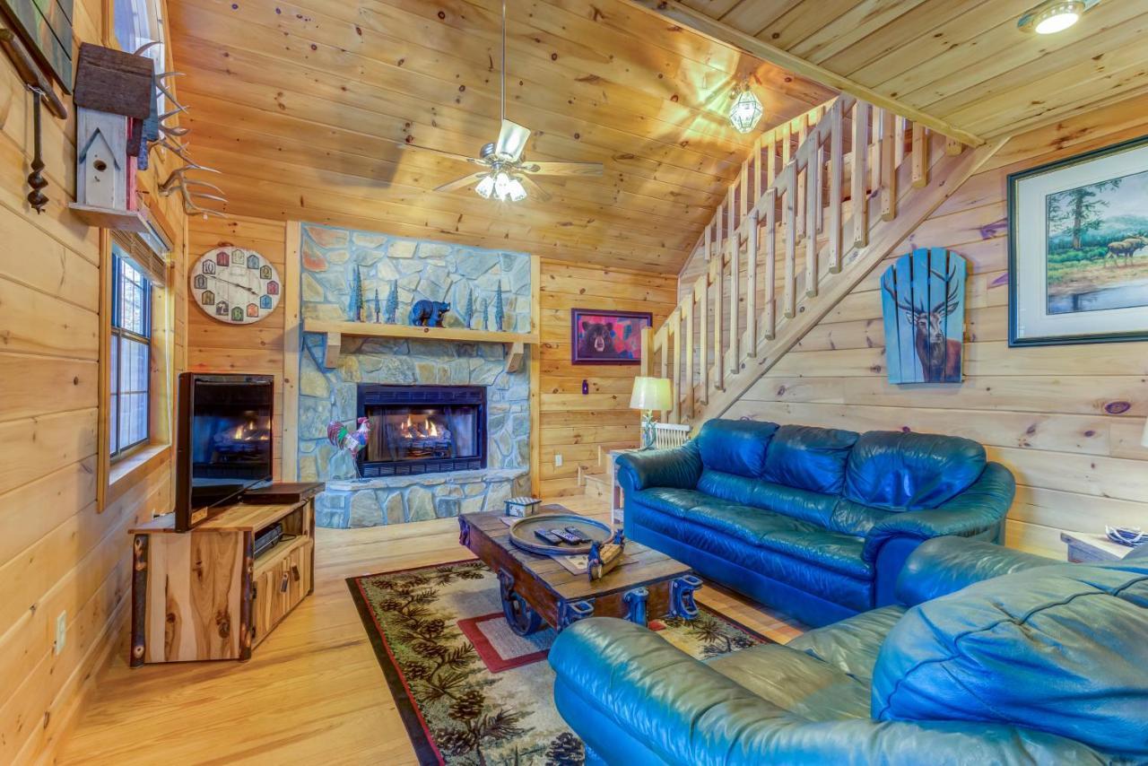 Day Dreamer Mineral Bluff Exterior photo